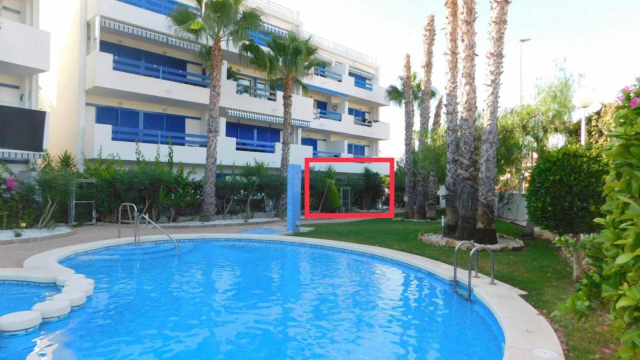 Coral House - La Calma - Playa Flamenca - Big Terrace & 4 Swimming Pools. Apartment Ngoại thất bức ảnh
